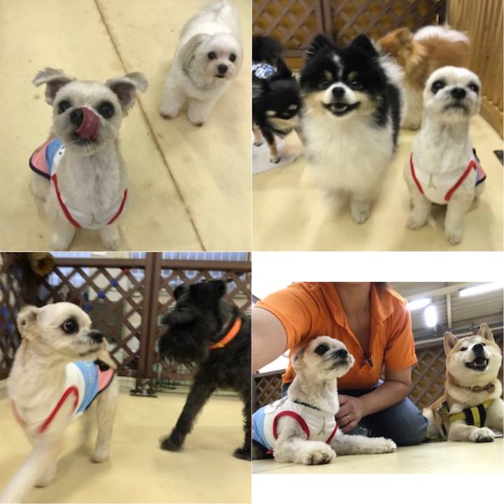 6b02638f 9add 4e25 8d04 2cc1e78b9420 1528719328990