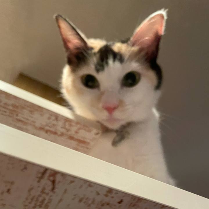 6b027fe9 ce08 4372 8f57 d7bcd77b3154 1696085118366