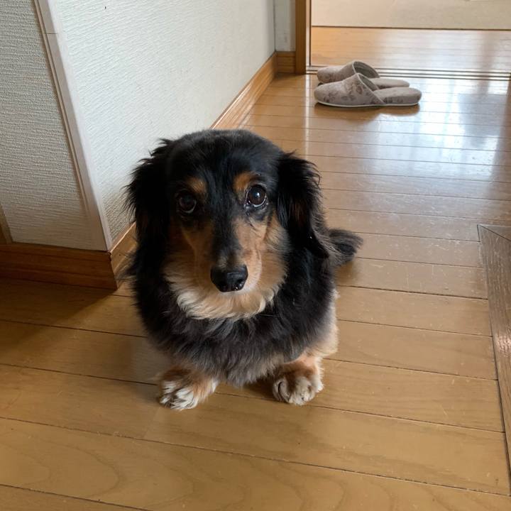 6b0285de 3da7 4036 aa0d eebd087ce0af 1560464276376