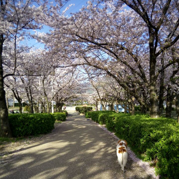 6b033b34 534d 4b23 b973 95c254aaf1c1 1522409880379