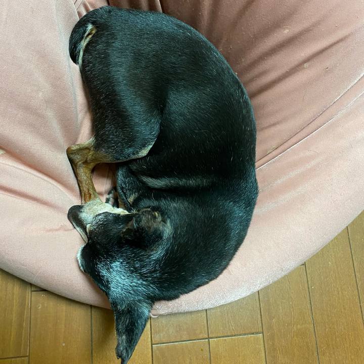 6b03529f 49fa 4149 a554 5e1de69ac25f 1596719976313