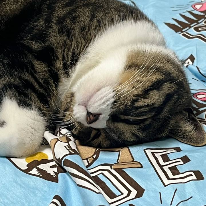 6b035a9a 884d 4072 8876 63ad7406b24d 1758846452213