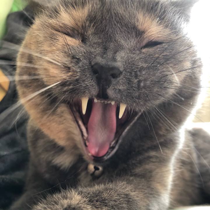 6b036f59 cbf0 4b7f 927c 6ea087560e14 1546055028462