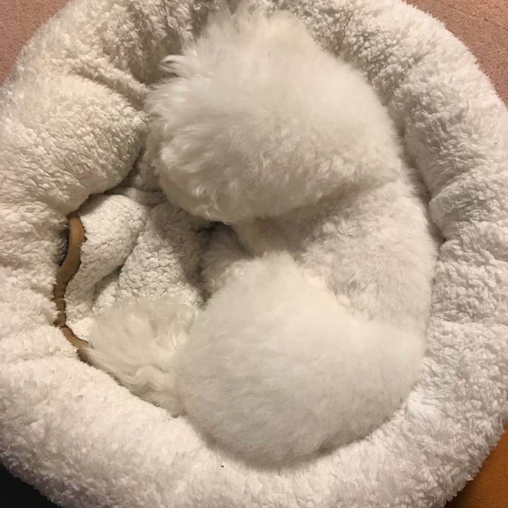 6b037192 c043 402a 8ccc b7fa41fa9851 1602223143924