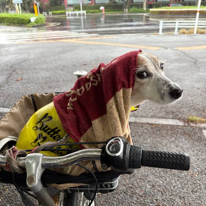 6b037b72 5f4f 4080 9225 fd471be69b82 1760916558733