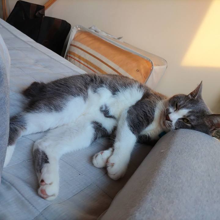 6b03b0bf 1cc8 46b0 a665 595cdecd8f8c 1683238165245