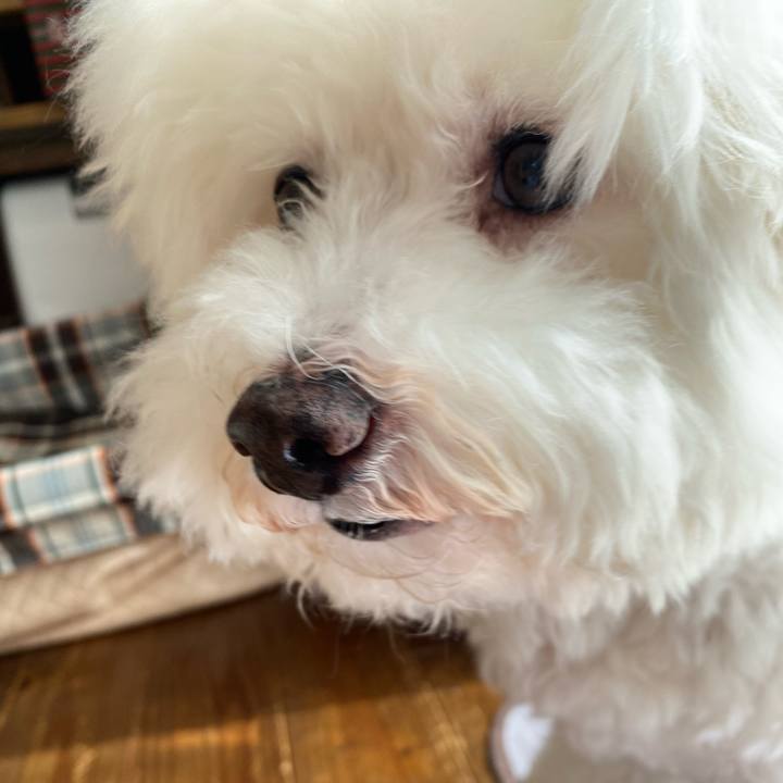 6b03bd21 82cc 419f a01e 7ef967bce2e5 1635729939364