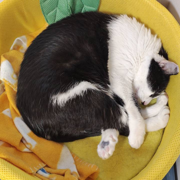 6b03c598 dc39 478d a568 b2ac3faeda62 1776070845274