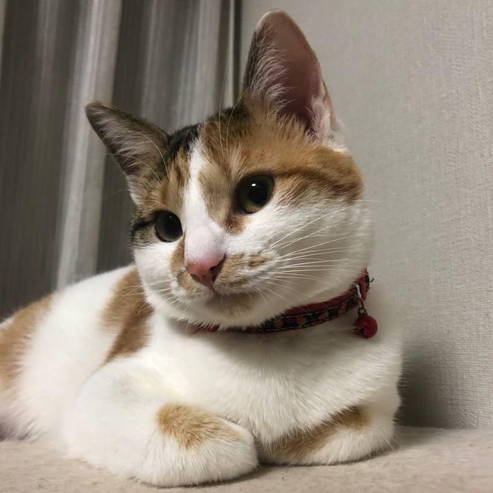 6b040618 7f85 4988 832c bea8032ffe57 1581169080332