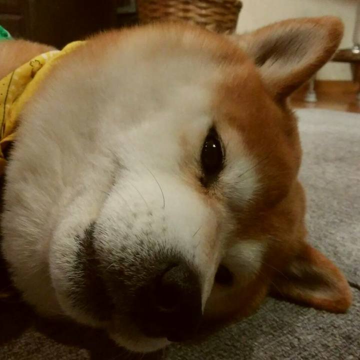 6b042db7 cefa 40c4 8f4a 7197b9d1c9a7 1518361429955