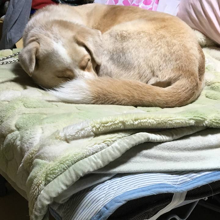 6b0436bc 26f6 48c4 a477 c816304a89ea 1516196044227