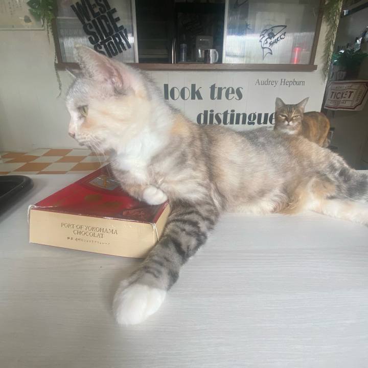 6b046948 cbe3 43e5 9753 35026c3ddfdf 1757729273349