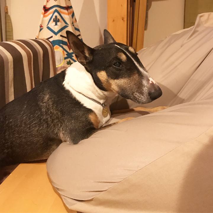 6b046cda 8f0b 4f46 9dcf 0c5d32da7b39 1511443220650