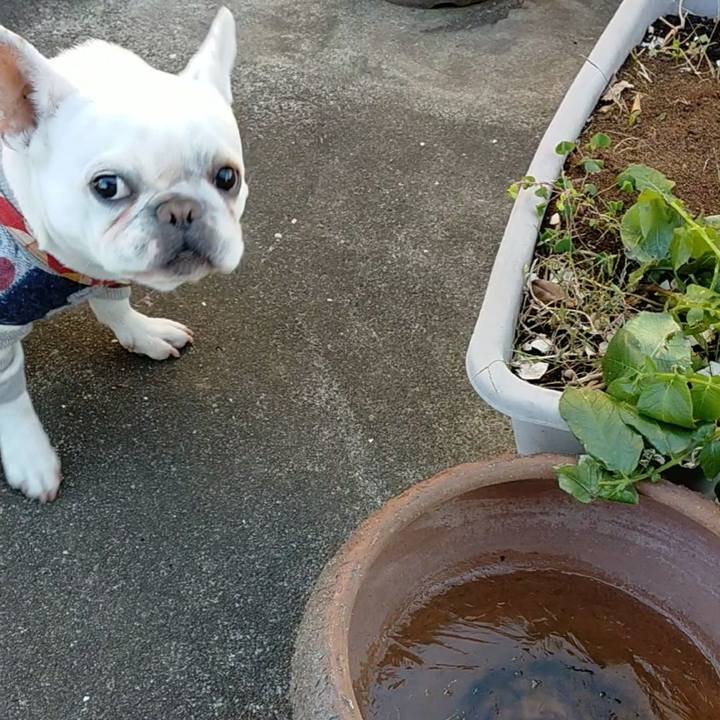 6b048927 dfce 49da 8ddf 2c4050691238 1671495705279