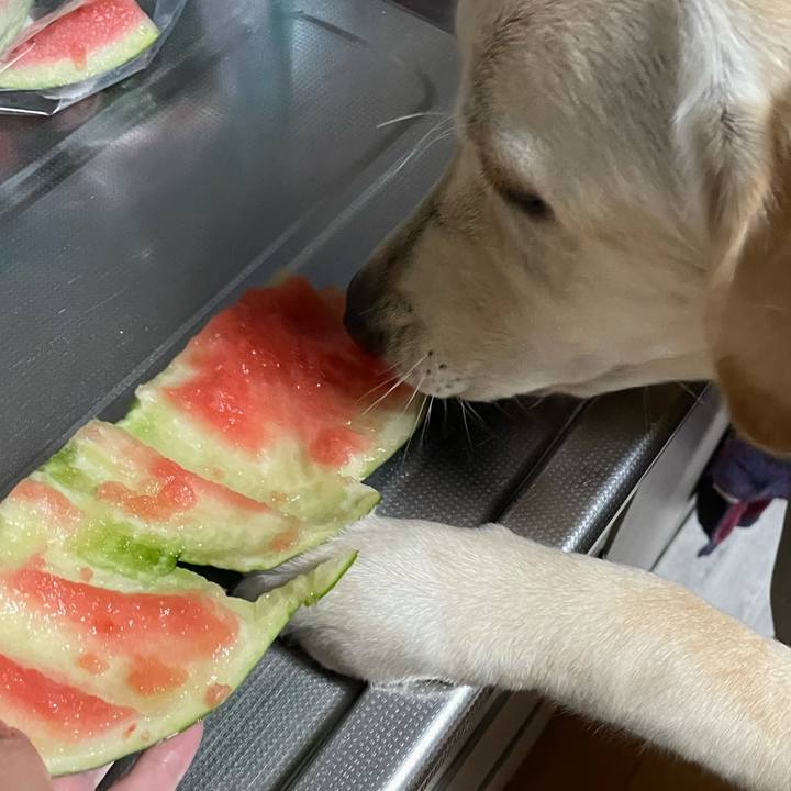 6b0490f2 1703 411f b781 60cdd411f251 1623158211912