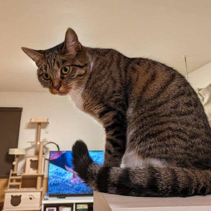 6b049306 d345 4769 a4b3 9c244d76f8aa 1695893800358