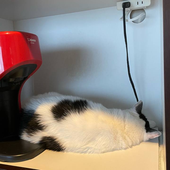 6b0498f6 50dd 43ef 9ed7 0a0eece5c701 1665012961640