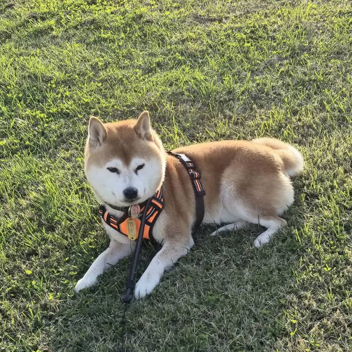 6b04a5e3 d7b6 4b3f 80e5 315bf2371d1e 1603950991800