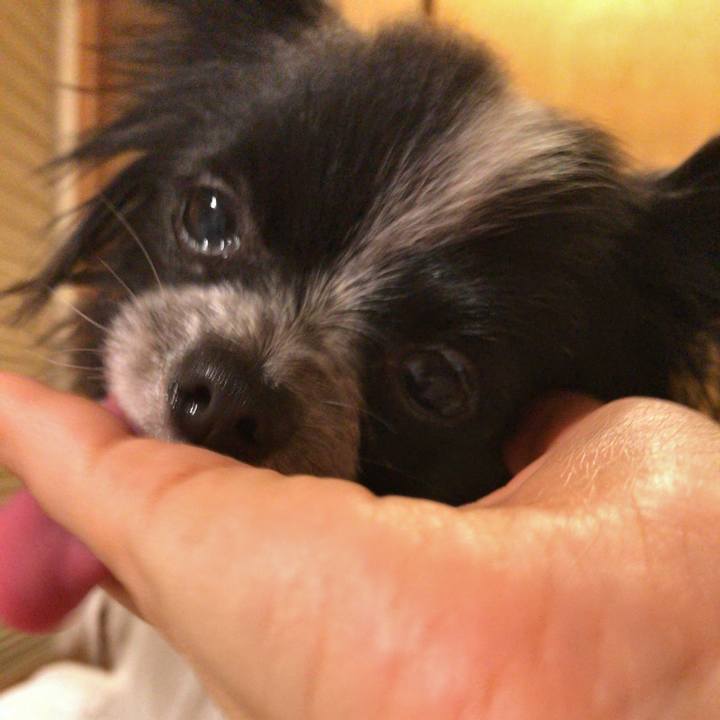 6b04b726 cd17 463f b97b fd9c0909ba86 1515590807250