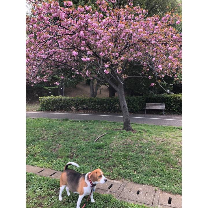 6b052828 3a69 48e5 b4ce afd468975e97 1617928434424