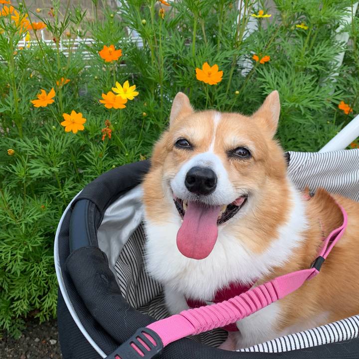 6b053eab 7a0b 4f88 9ab4 cf116399a8f3 1693092559290