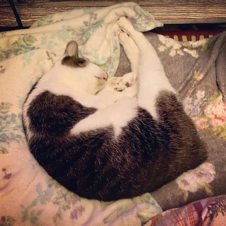 6b056b0e 9fe4 4a71 95da 7843a470d0bd 1610980902057