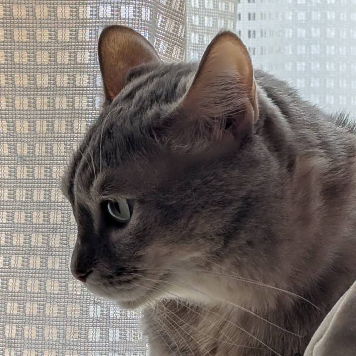 6b057871 336d 403a 8001 316f348c7c38 1764494958230