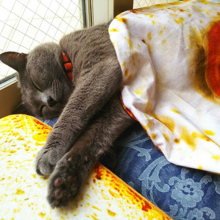 6b058c03 2aaf 4112 9a1a 94d1a3f57cd4 1526451846184