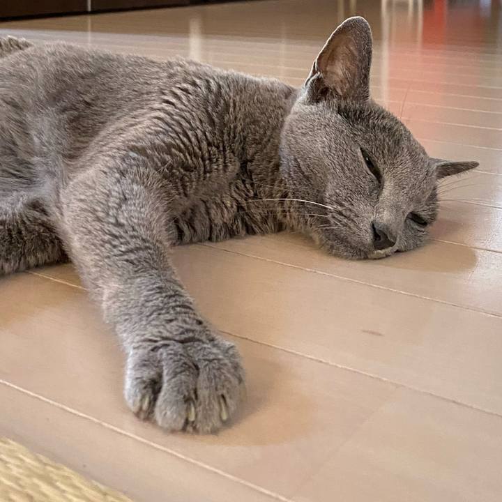 6b062e57 3635 463c 8450 428e7e3fa2bc 1597101153711