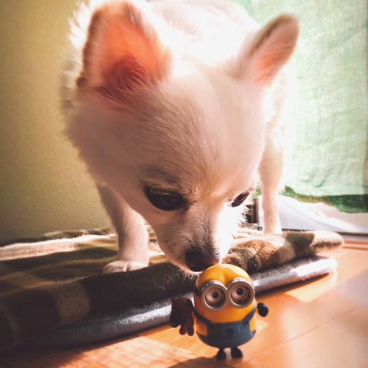 6b0633c3 3304 409e 9c7f fd951d021a90 1604788687429