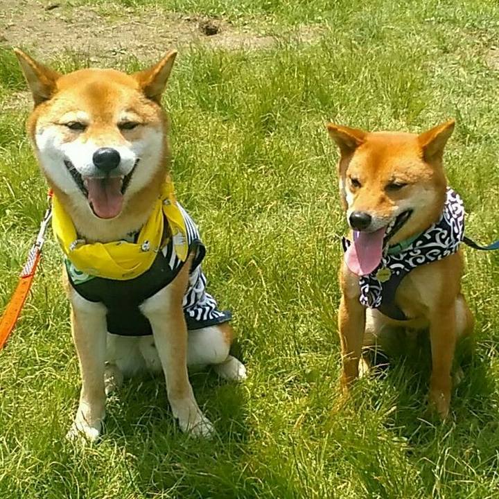 6b063715 e36e 4f6c bbcf 8270d2f96ee2 1558883937278