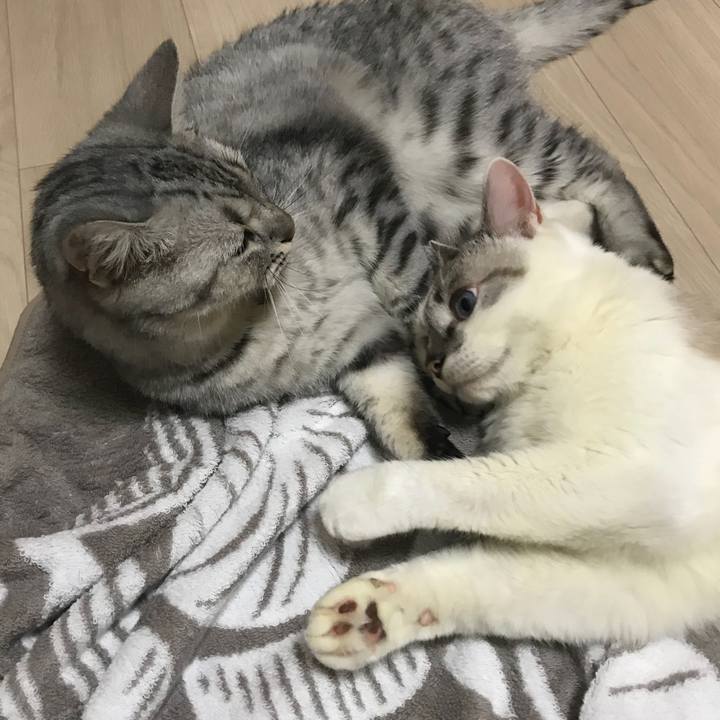 6b065f16 84d3 42f0 8f49 dff1b728bff6 1538961932878