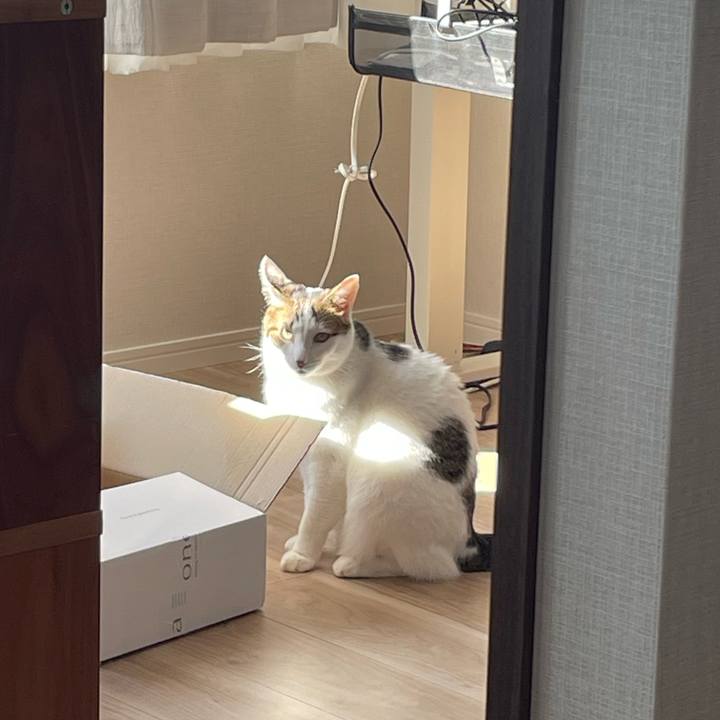 6b066b2f 230c 4816 b98b 8823fd1574cd 1767336210943