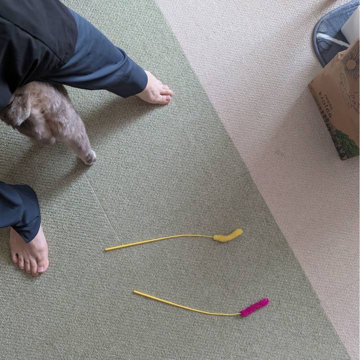 6b066b8a e1f1 4058 9349 52686c6c5499 1757571814519