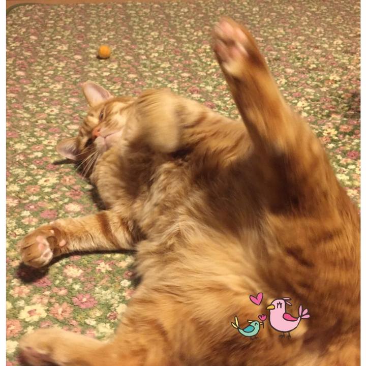 6b067cd6 8504 4866 af56 24fcaa1ebe85 1585828719180