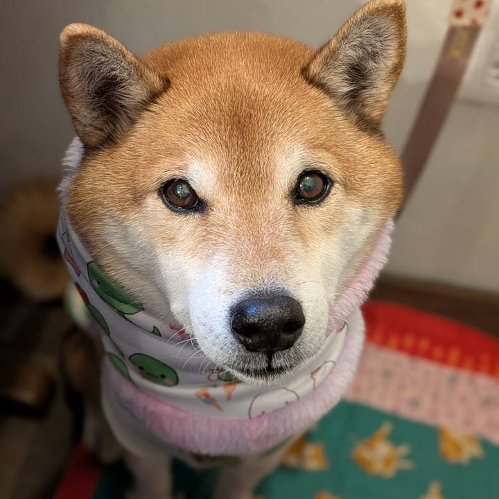 6b06951c ee02 4d6e 994a 9b58045a2fdc 1736162953911