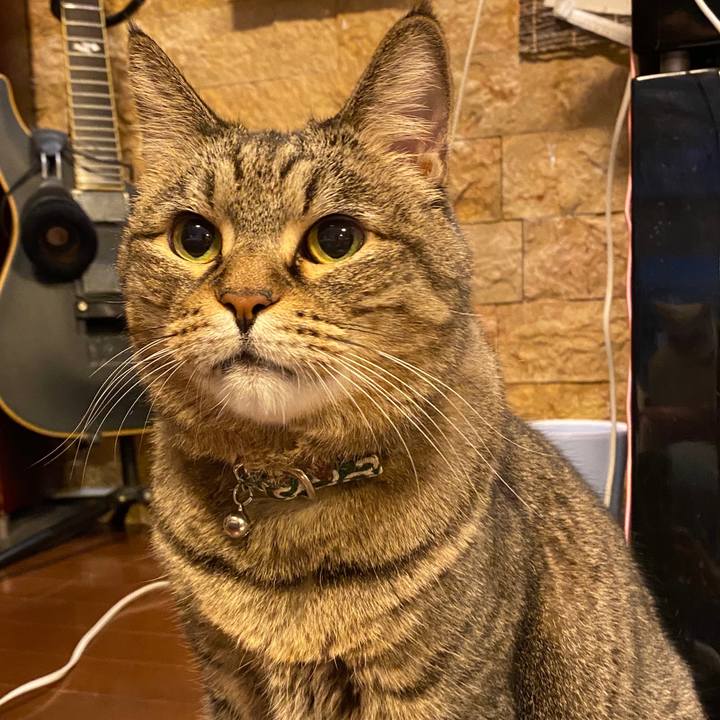 6b06cc8d 927b 4973 95b0 b12485aaad42 1604169270606