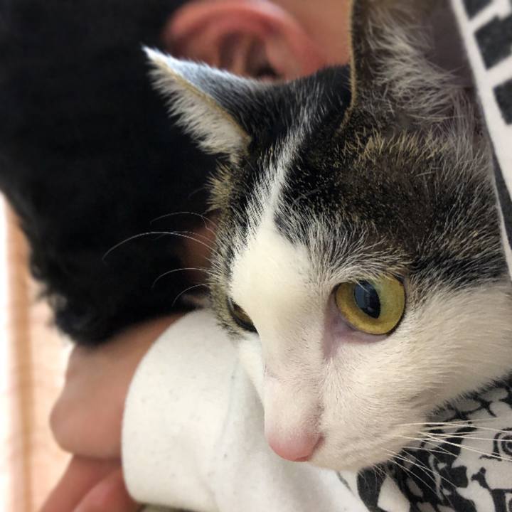 6b06d3e9 313f 4835 b62a d5fd427f58e6 1614860215259