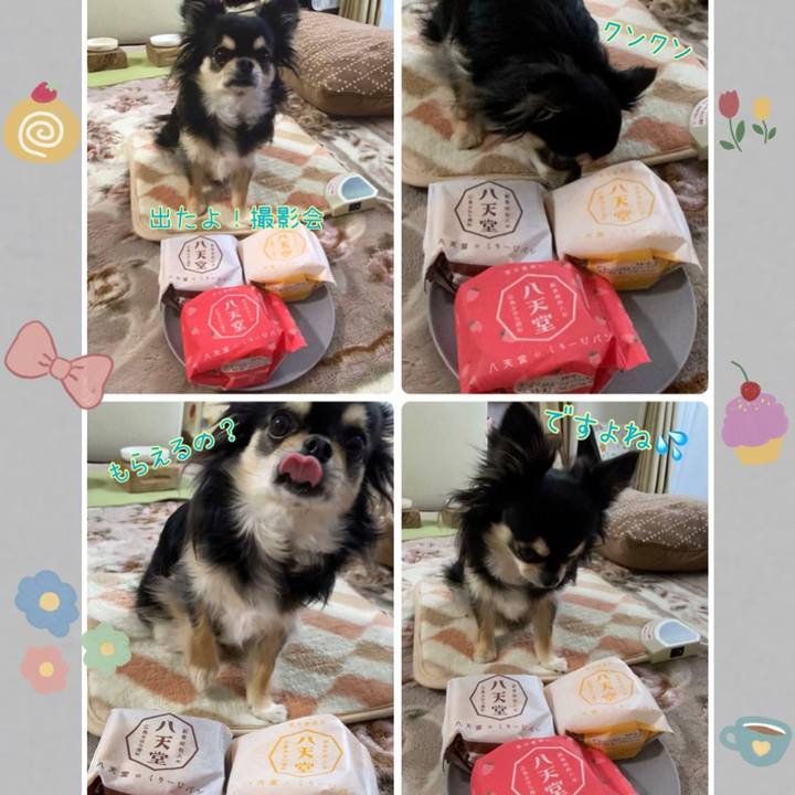 6b06d7cf 79ad 4b1a bad0 c03994bad6e4 1647740239435