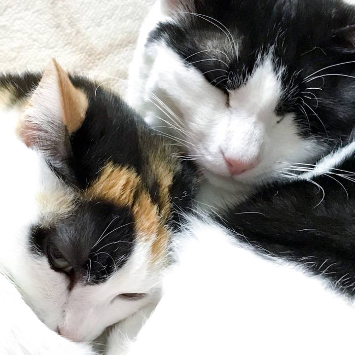 6b06e7c8 389a 4daa 9e94 81aea07b4d46 1524842600157