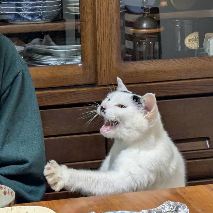 6b06ebed 4cd9 41b0 ac01 be9dd292513b 1763349448381