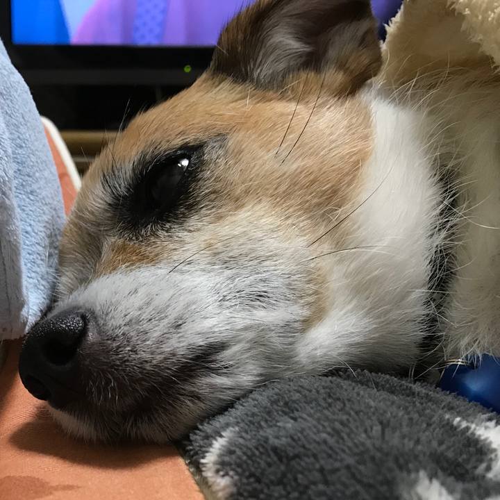 6b07128d 2851 477d b9c5 8f40abc76d48 1581773424053