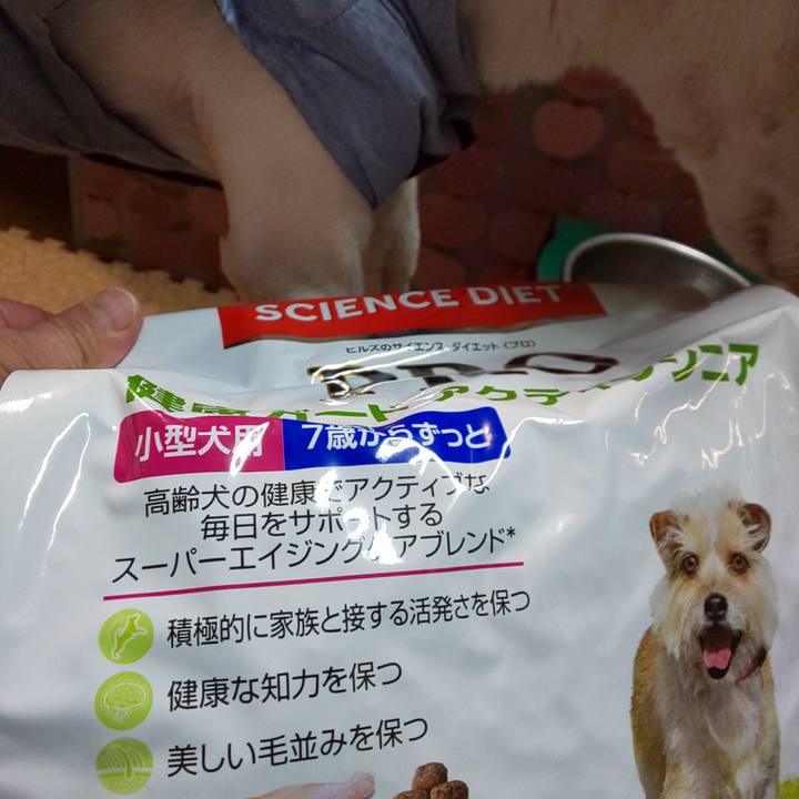 6b0748e1 04e4 4d8b 8169 4ad56e4c3aff 1552820270514