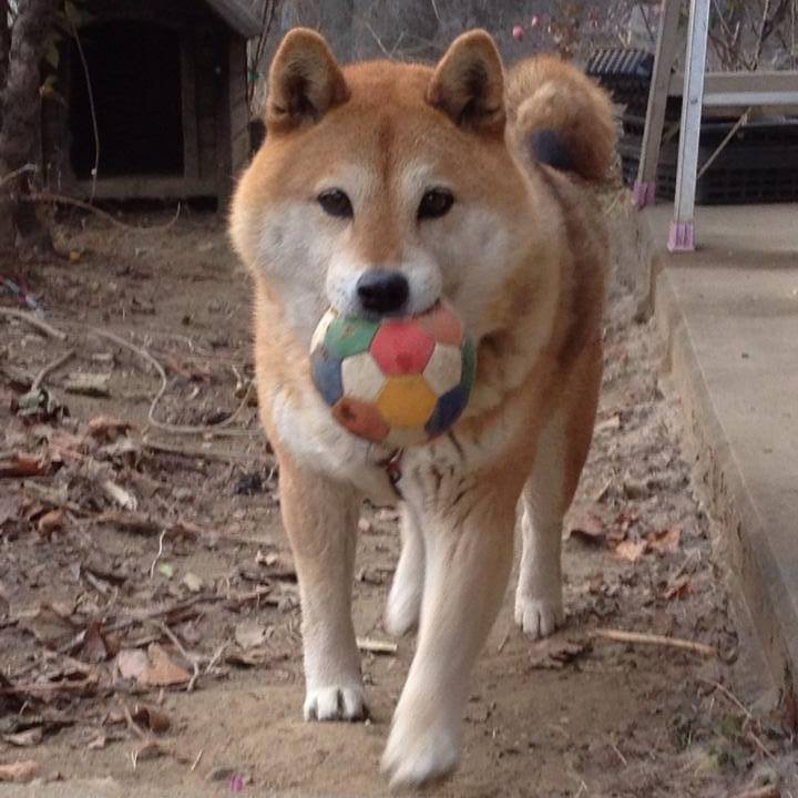 6b077278 6294 48e7 b2bb f80c65fcea59 1612522495161