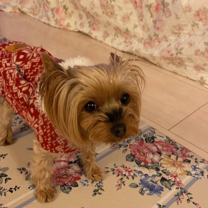 6b078358 48d1 4a1c 91c1 2605afc36e26 1671848308771