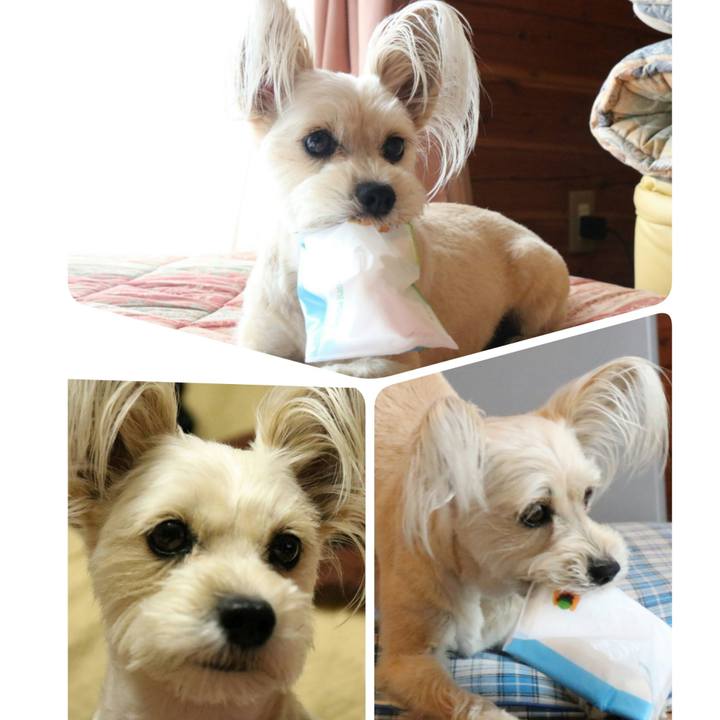 6b078b9a 6b10 4216 b6ef 9a610f362983 1524313600410