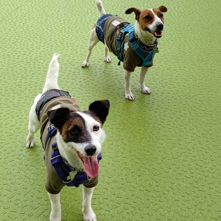 6b07918c 24db 47df 9509 f1dd513b78a2 1618313124002