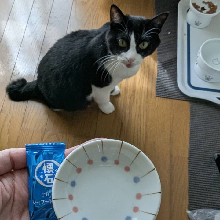 6b07dad2 c94d 4f93 94de 827b98b3b884 1759067189167