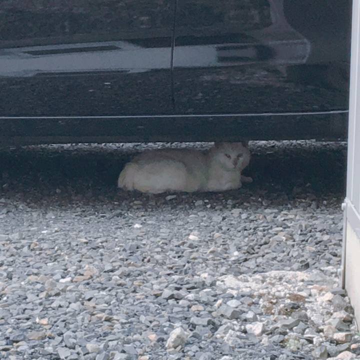 6b0807cb 8131 45e9 a9a8 7b8594ab19a7 1559520746434