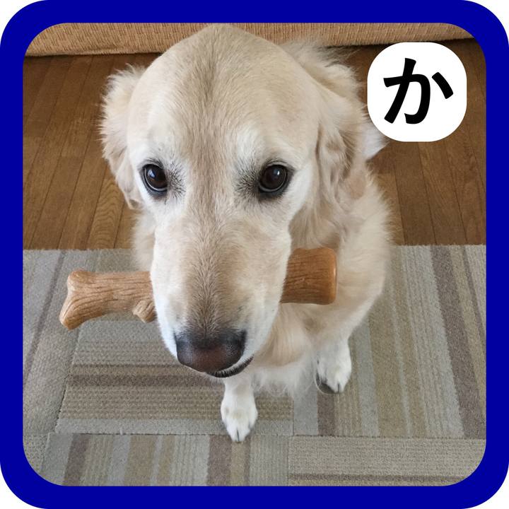 6b086489 67ec 4467 a600 102bef8bc795 1514881832828